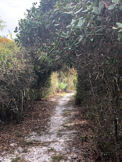 Seacrest Scrub Natural Area