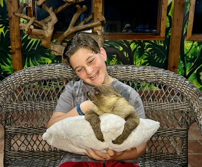 image for Nature Lover’s Guide to Boynton Beach: Parks, Trails & Wildlife